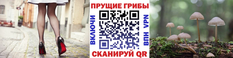 сколько стоит  Ардон  Псилоцибиновые грибы мухоморы 